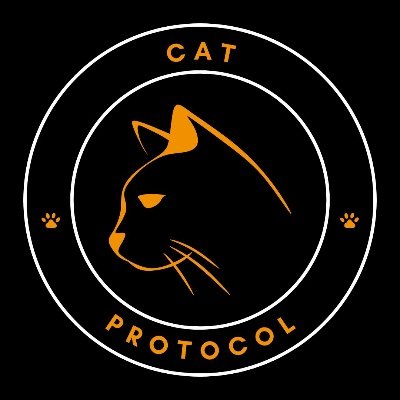 CAT Protocol